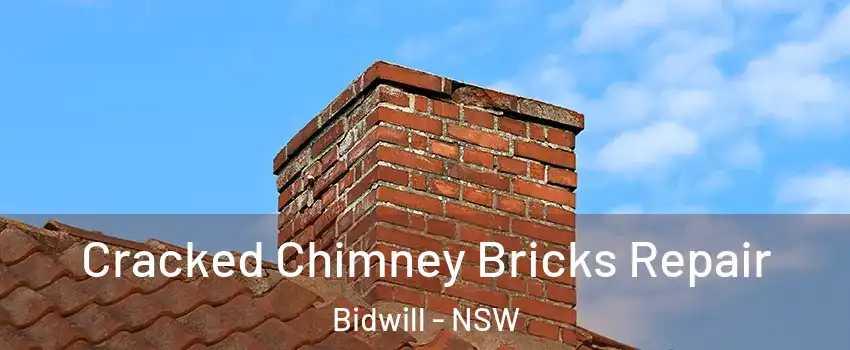 Cracked Chimney Bricks Repair Bidwill - NSW