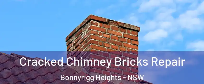 Cracked Chimney Bricks Repair Bonnyrigg Heights - NSW
