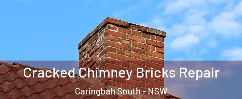 Cracked Chimney Bricks Repair Caringbah South - NSW