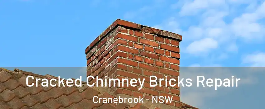Cracked Chimney Bricks Repair Cranebrook - NSW