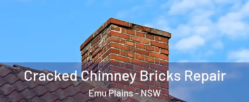 Cracked Chimney Bricks Repair Emu Plains - NSW