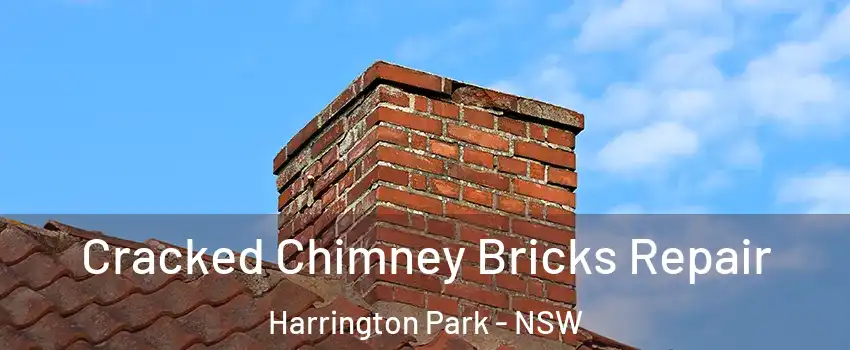  Cracked Chimney Bricks Repair Harrington Park - NSW