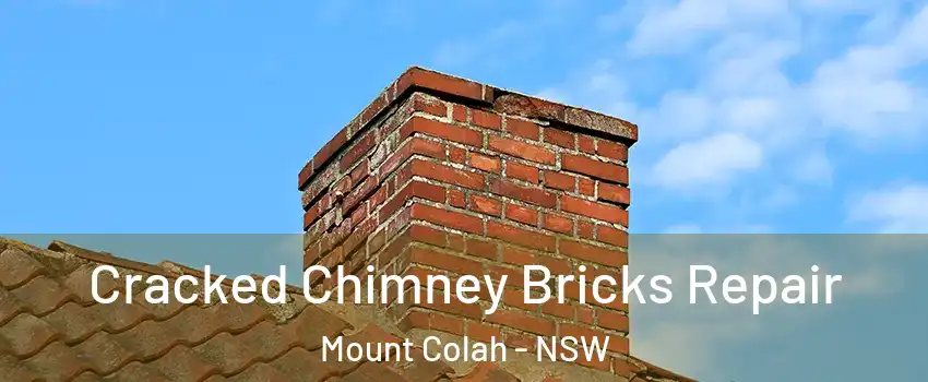 Cracked Chimney Bricks Repair Mount Colah - NSW
