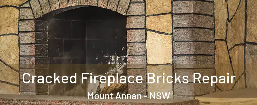 Cracked Fireplace Bricks Repair Mount Annan - NSW