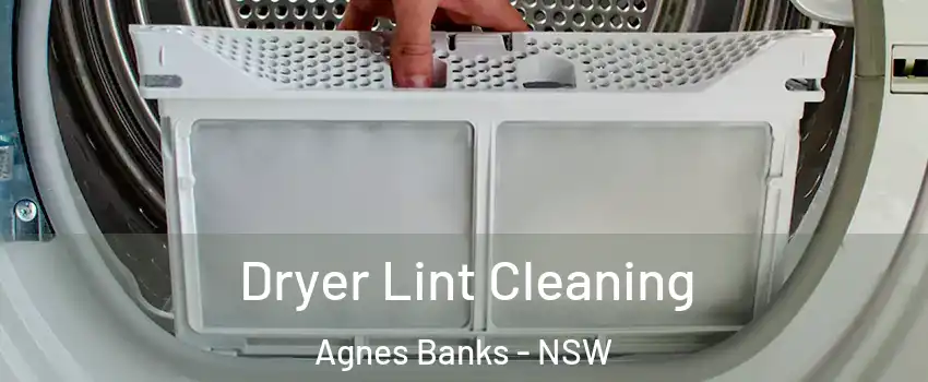 Dryer Lint Cleaning Agnes Banks - NSW