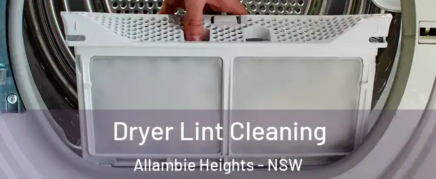Dryer Lint Cleaning Allambie Heights - NSW