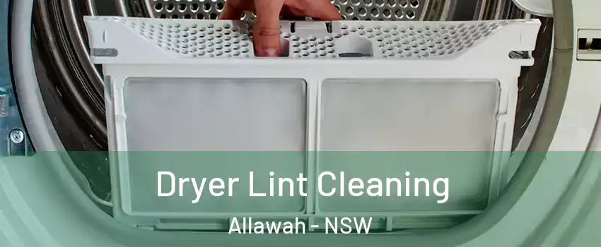 Dryer Lint Cleaning Allawah - NSW