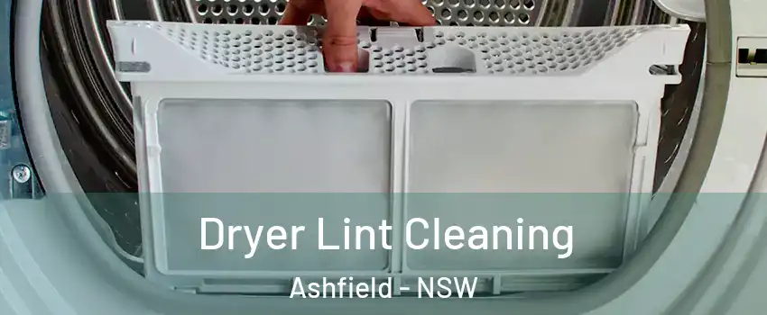 Dryer Lint Cleaning Ashfield - NSW
