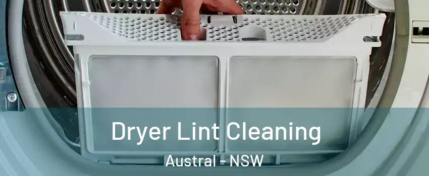 Dryer Lint Cleaning Austral - NSW