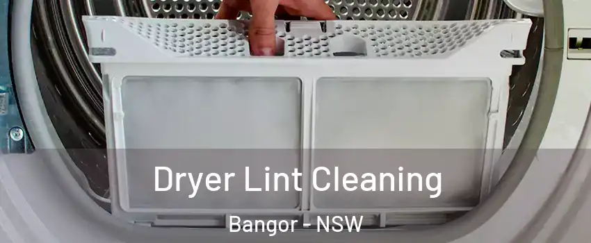 Dryer Lint Cleaning Bangor - NSW