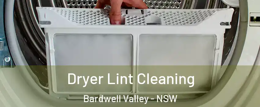 Dryer Lint Cleaning Bardwell Valley - NSW