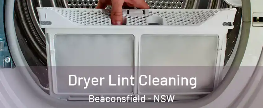  Dryer Lint Cleaning Beaconsfield - NSW