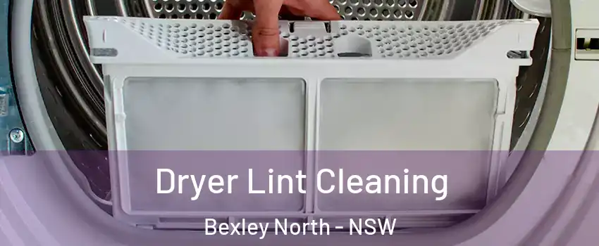 Dryer Lint Cleaning Bexley North - NSW