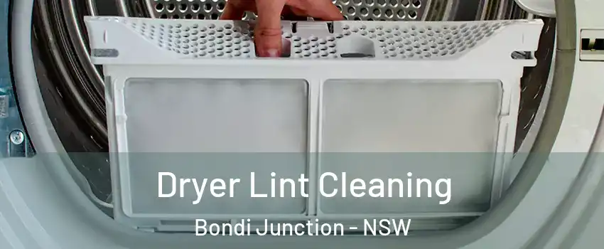 Dryer Lint Cleaning Bondi Junction - NSW