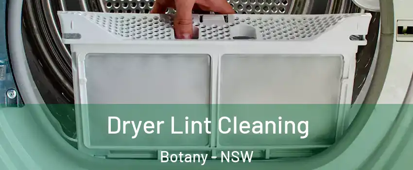  Dryer Lint Cleaning Botany - NSW
