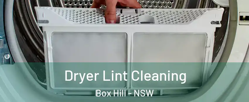 Dryer Lint Cleaning Box Hill - NSW