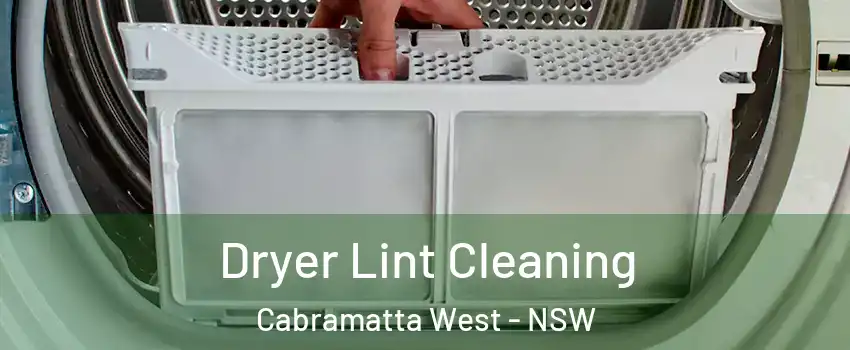Dryer Lint Cleaning Cabramatta West - NSW