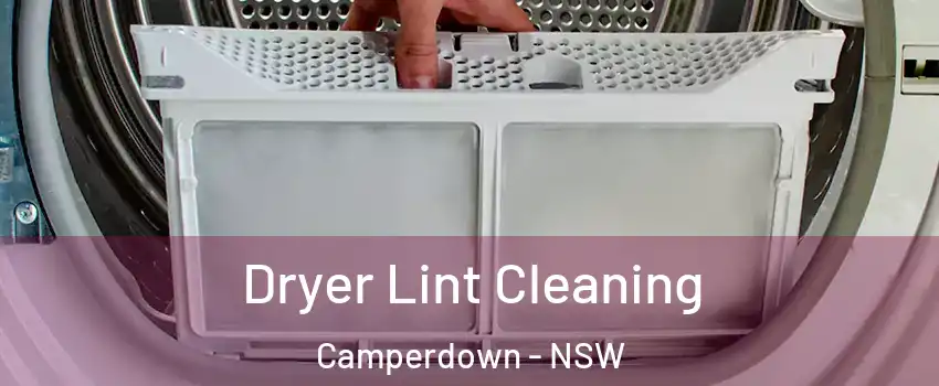Dryer Lint Cleaning Camperdown - NSW