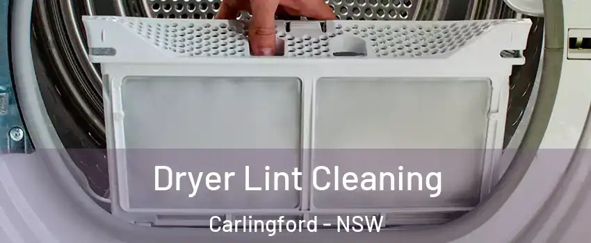 Dryer Lint Cleaning Carlingford - NSW