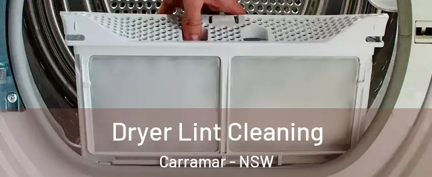 Dryer Lint Cleaning Carramar - NSW