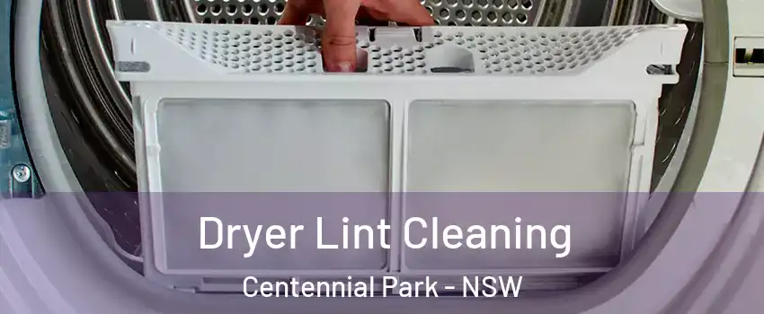  Dryer Lint Cleaning Centennial Park - NSW
