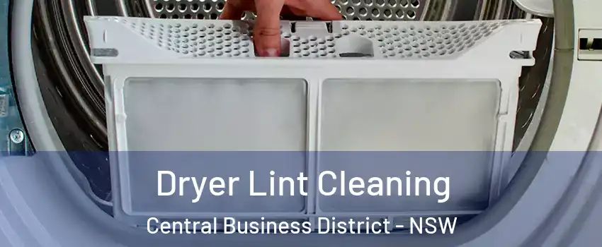 Dryer Lint Cleaning Central Business District - NSW