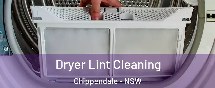 Dryer Lint Cleaning Chippendale - NSW