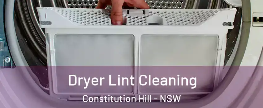 Dryer Lint Cleaning Constitution Hill - NSW