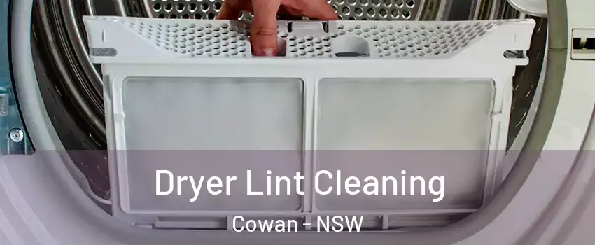 Dryer Lint Cleaning Cowan - NSW