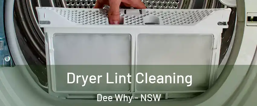 Dryer Lint Cleaning Dee Why - NSW