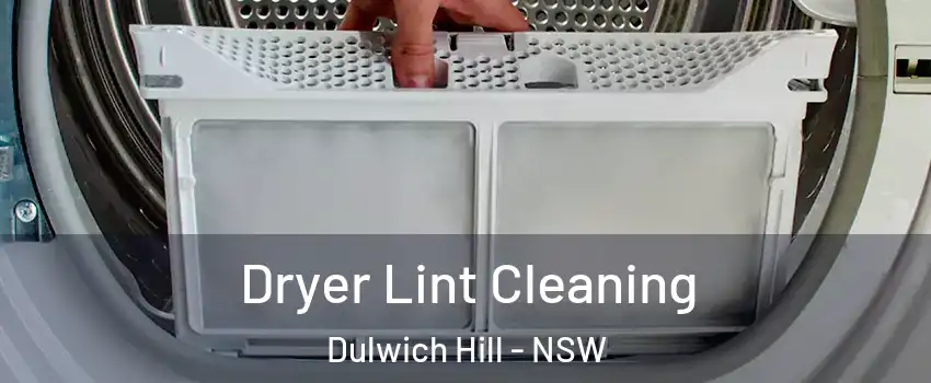 Dryer Lint Cleaning Dulwich Hill - NSW