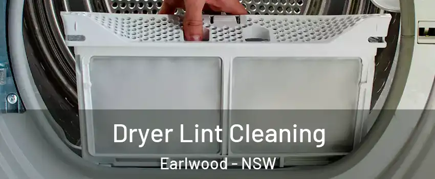 Dryer Lint Cleaning Earlwood - NSW