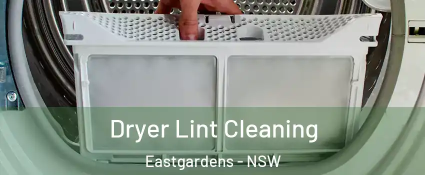 Dryer Lint Cleaning Eastgardens - NSW
