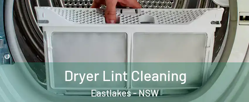 Dryer Lint Cleaning Eastlakes - NSW