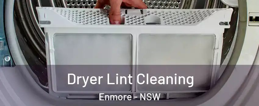 Dryer Lint Cleaning Enmore - NSW