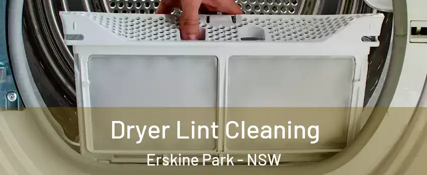 Dryer Lint Cleaning Erskine Park - NSW
