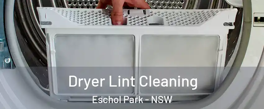 Dryer Lint Cleaning Eschol Park - NSW