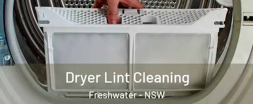 Dryer Lint Cleaning Freshwater - NSW