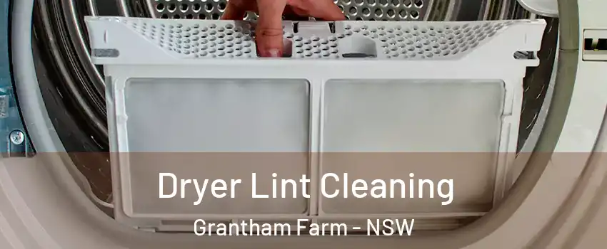 Dryer Lint Cleaning Grantham Farm - NSW