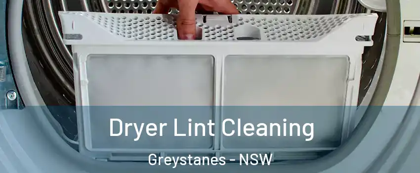 Dryer Lint Cleaning Greystanes - NSW
