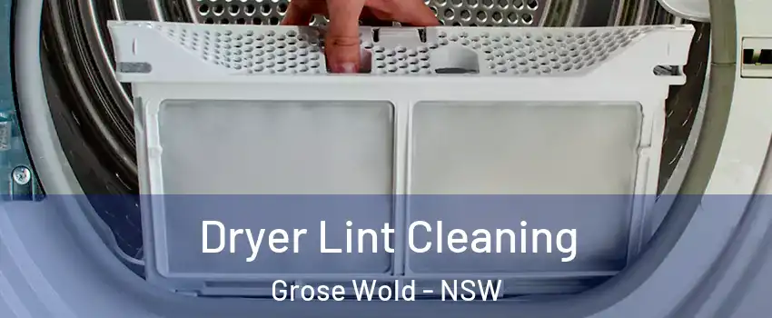 Dryer Lint Cleaning Grose Wold - NSW
