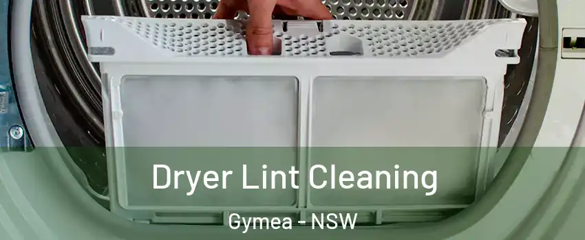Dryer Lint Cleaning Gymea - NSW