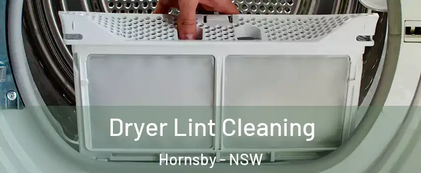 Dryer Lint Cleaning Hornsby - NSW