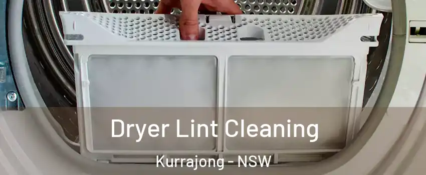 Dryer Lint Cleaning Kurrajong - NSW
