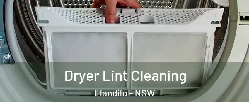 Dryer Lint Cleaning Llandilo - NSW