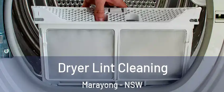 Dryer Lint Cleaning Marayong - NSW