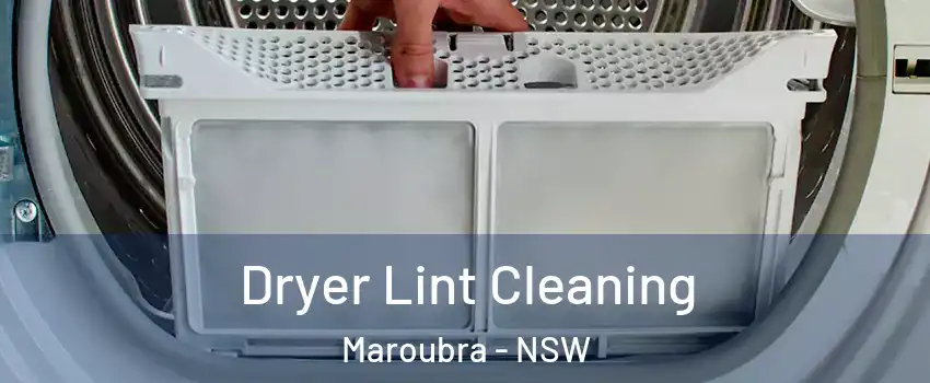 Dryer Lint Cleaning Maroubra - NSW