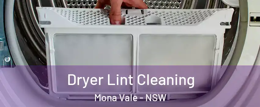 Dryer Lint Cleaning Mona Vale - NSW