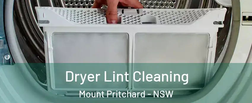 Dryer Lint Cleaning Mount Pritchard - NSW