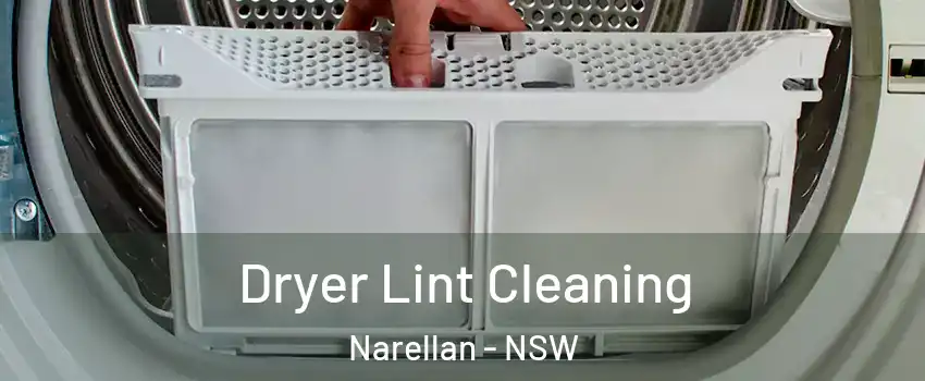Dryer Lint Cleaning Narellan - NSW